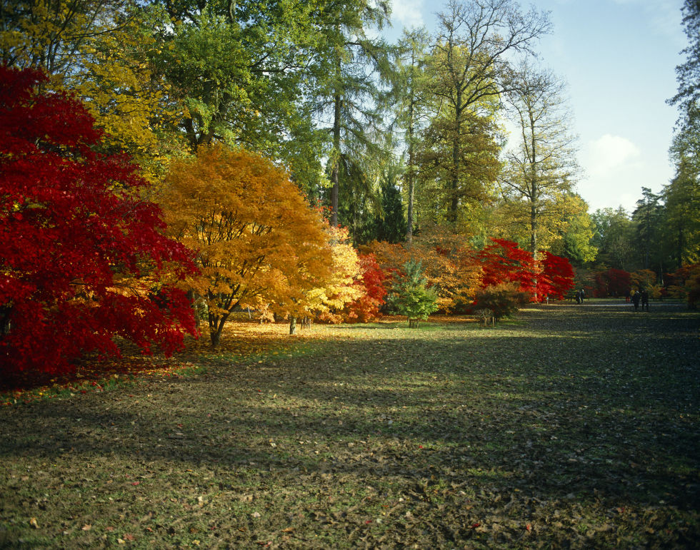 10 best place to visit in UK in Autumn