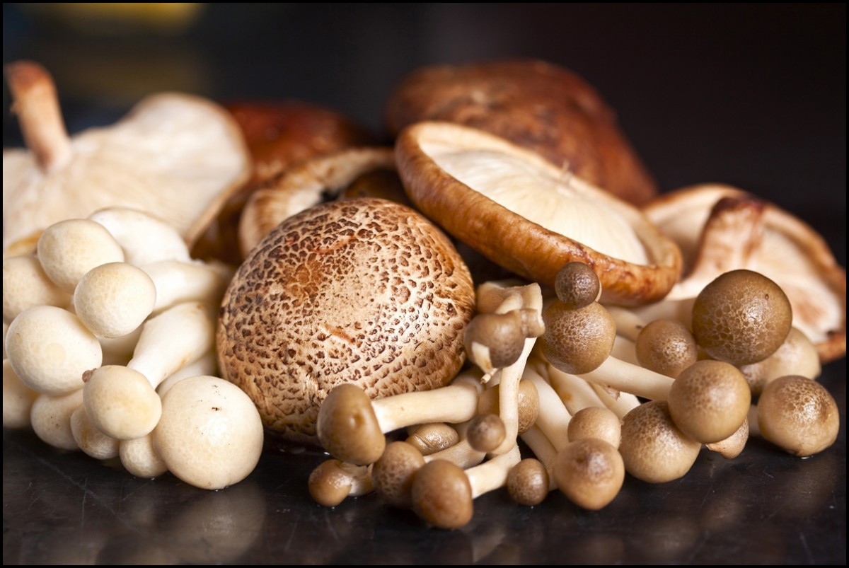 Do mushrooms have nutritional value?